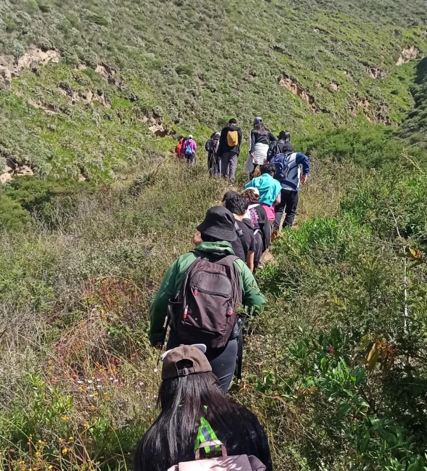 Person making Bouquette